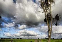 [乒乓球]林诗栋夺得男单冠军 成为新加坡大满贯赛三冠王.