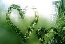 [乒乓球]林诗栋夺得男单冠军 成为新加坡大满贯赛三冠王.