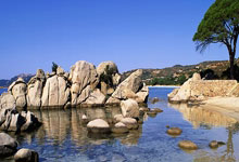 裁判賽後報告：巴黎主席納賽爾和總監萊昂納多賽後攻擊裁判.